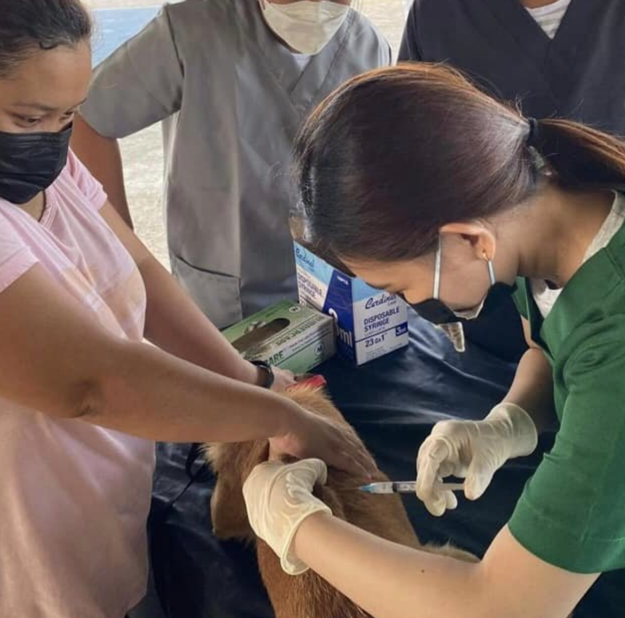 Aboitiz Pilmico and Animal Kingdom Foundation mark Rabies Awareness