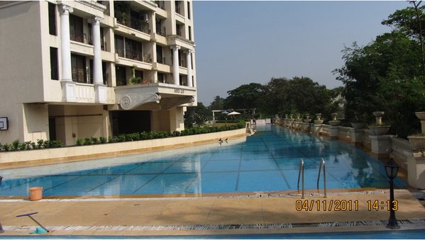 Image Result For Apartmentociation Image Result For Apartmentociation