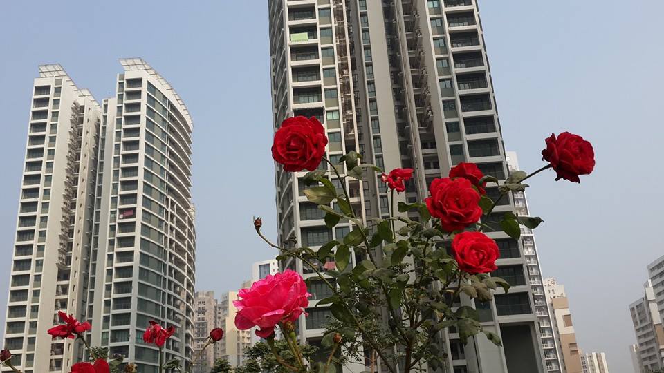 Rosedale Gardens Kolkata
