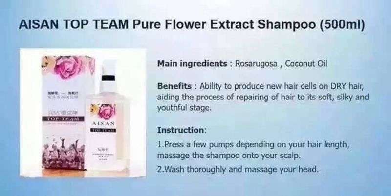 Image result for aisan top team shampoo