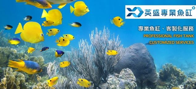 桃園專業客製化魚缸觀音風水缸訂製英盛新竹過濾槽設計訂製推薦新竹底部過濾魚缸推薦新北水草缸訂製推薦 在地品味生活 桃園專業客製化魚缸觀音風水缸訂製英盛新竹過濾槽設計訂製推薦新竹底部過濾魚缸推薦新北水草缸訂製推薦 在地品味生活
