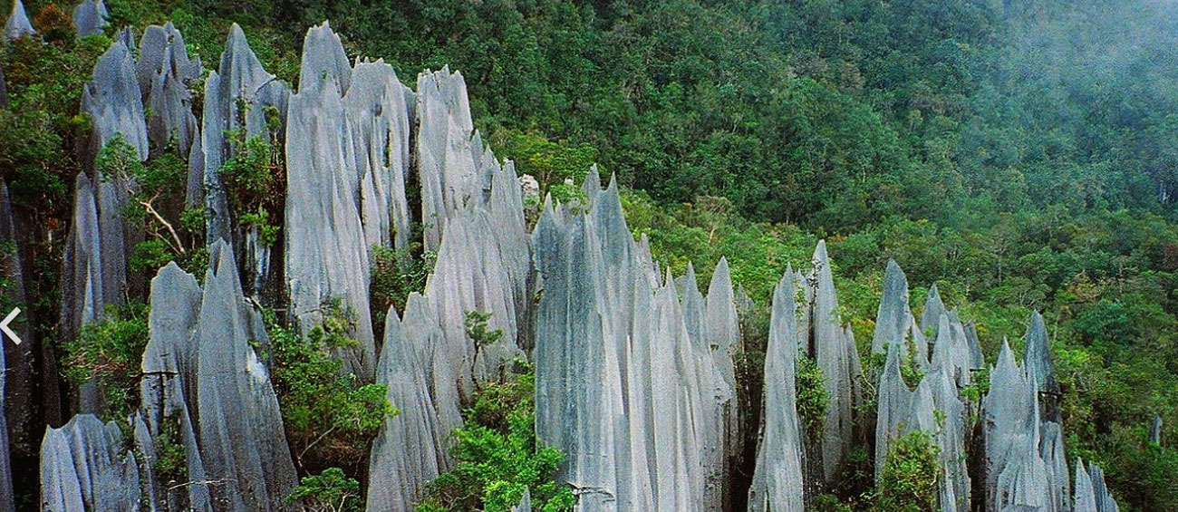 Gunung Mulu National Park