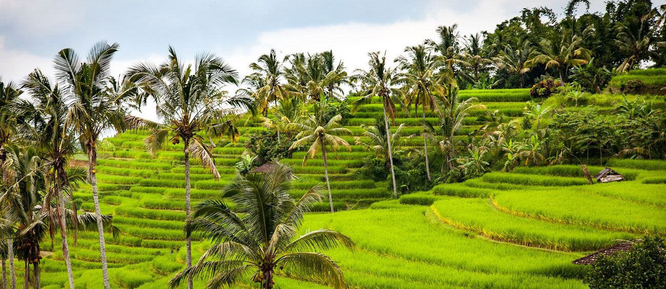Ubud