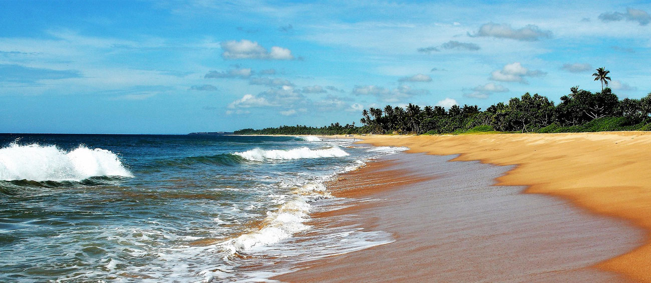 Candolim Beach
