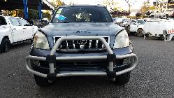 View Auto part Left Guard Toyota Prado 2006