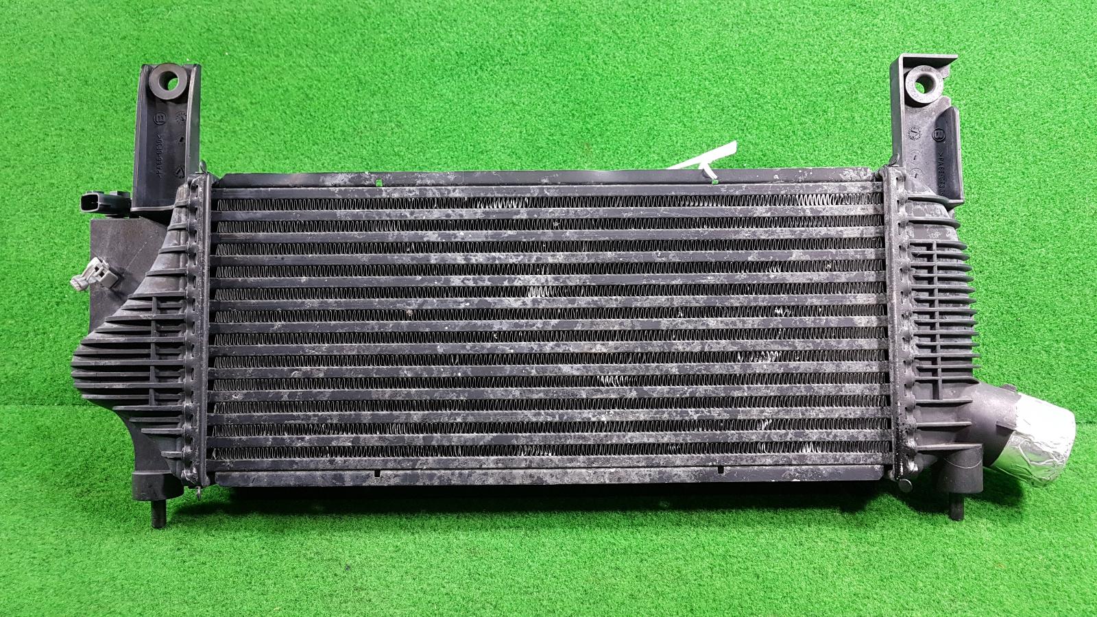 View Auto part Intercooler Nissan Navara 2012