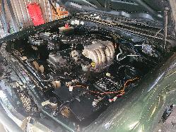 View Toyota Landcruiser 1998  