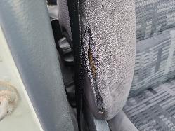 View Auto part Trans/Gearbox Toyota Landcruiser 1991