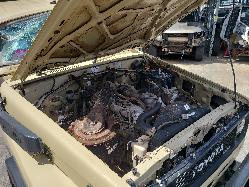 View Toyota Landcruiser 1985 2 Door Utility