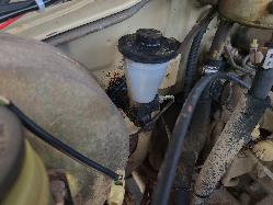 View Toyota Landcruiser 1985 2 Door Utility