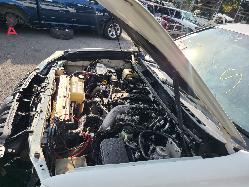 View Toyota Prado 2011 4 Door Station Wagon
