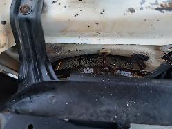 View Toyota Landcruiser 1986 2 Door Utility