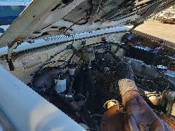 View Toyota Landcruiser 1986 2 Door Utility