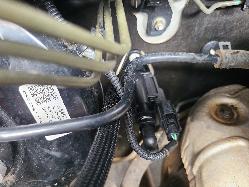 View Holden Colorado 2012 2 Door Pickup