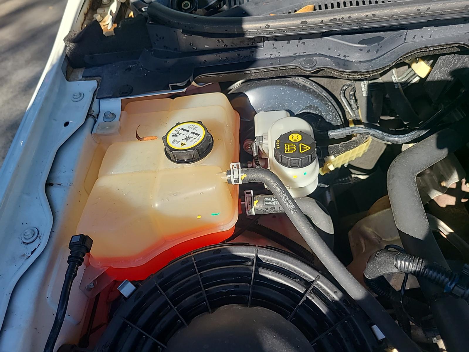 View Ford Ranger 2014 4 Door Utility