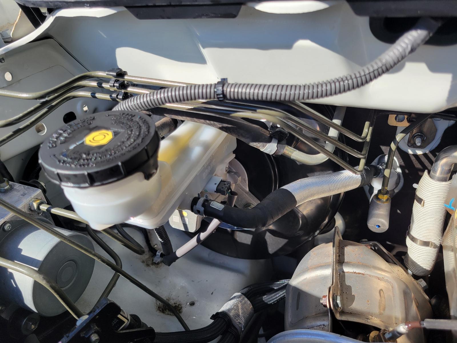 View Isuzu Dmax 2019 4 Door Utility