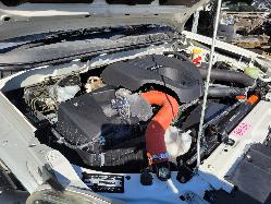 View Isuzu Dmax 2019 4 Door Utility