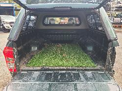 View Isuzu Dmax 2013 4 Door Utility