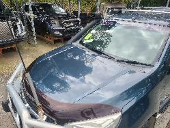 View Holden Colorado 2013  