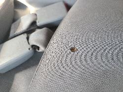 View Toyota Hilux 2007 2 Door Pickup