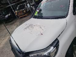 View Toyota Hilux 2018 4 Door Pickup