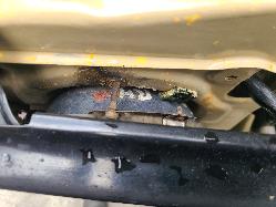 View Toyota Landcruiser 1986 2 Door Utility