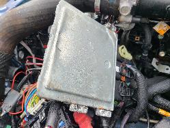 View Ford Ranger 2021 4 Door Utility
