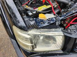 View Ford Ranger 2008  