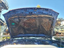 View Nissan Navara 2002 4 Door Utility