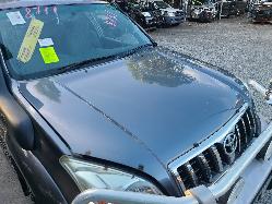 View Toyota Prado 2008  