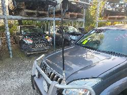View Toyota Prado 2008  