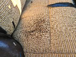 View Toyota Landcruiser 1985 4 Door Station Wagon