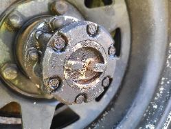 View Toyota Landcruiser 1985 4 Door Station Wagon