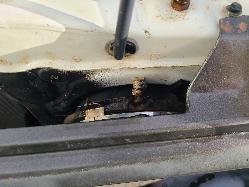 View Toyota Landcruiser 1990  