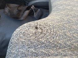 View Auto part Ashtray Toyota Hilux 2003
