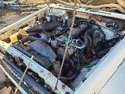 View Toyota Landcruiser 1986 2 Door Utility