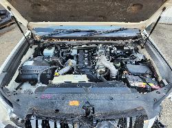 View Toyota Prado 2011 4 Door Station Wagon