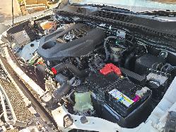 View Nissan Navara 2021 4 Door Utility