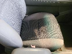 View Toyota Hilux 2010 2 Door Utility