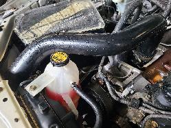 View Toyota Hilux 2010 2 Door Utility