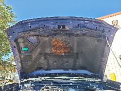 View Nissan Navara 2004 4 Door Utility