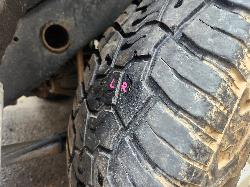 View Nissan Patrol 2005 4 Door Station Wagon