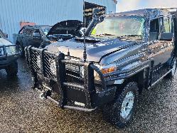 View Toyota Landcruiser 2019 4 Door Pickup