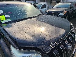 View Toyota Prado 2015  