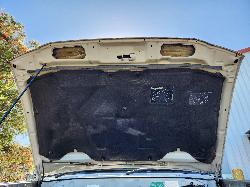 View Toyota Prado 1998 4 Door Station Wagon