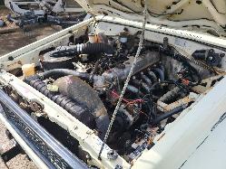 View Toyota Landcruiser 1985 2 Door Utility