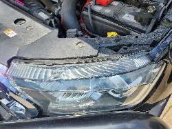 View Ford Ranger 2017 4 Door Utility