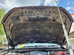 View Ford Ranger 2017 4 Door Utility