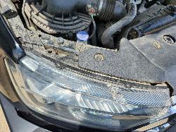 View Ford Ranger 2017 4 Door Utility