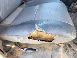 View Toyota Landcruiser 2013